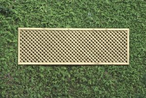 Timberstore Privacy Lattice