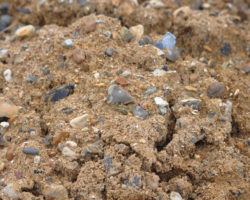 Aggregate Supplies