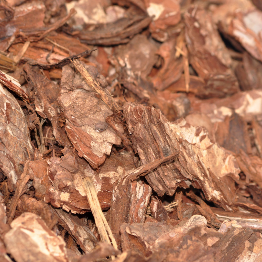 Pine Play Bark Bulk Bag Timberstore