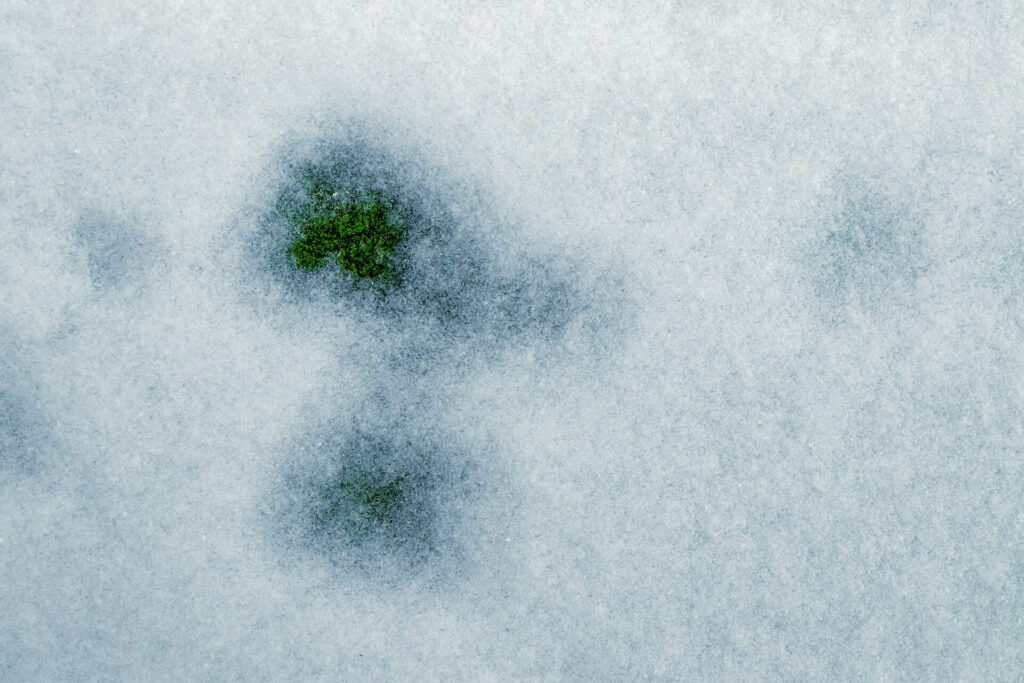 artificial grass under snow
