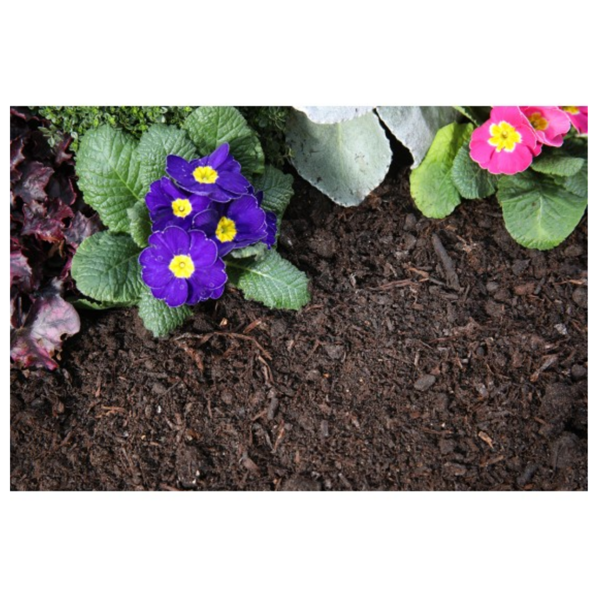 Tree & Shrub Compost - Bulk Bag - Image 3