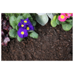 Tree & Shrub Compost - Bulk Bag - Image 3