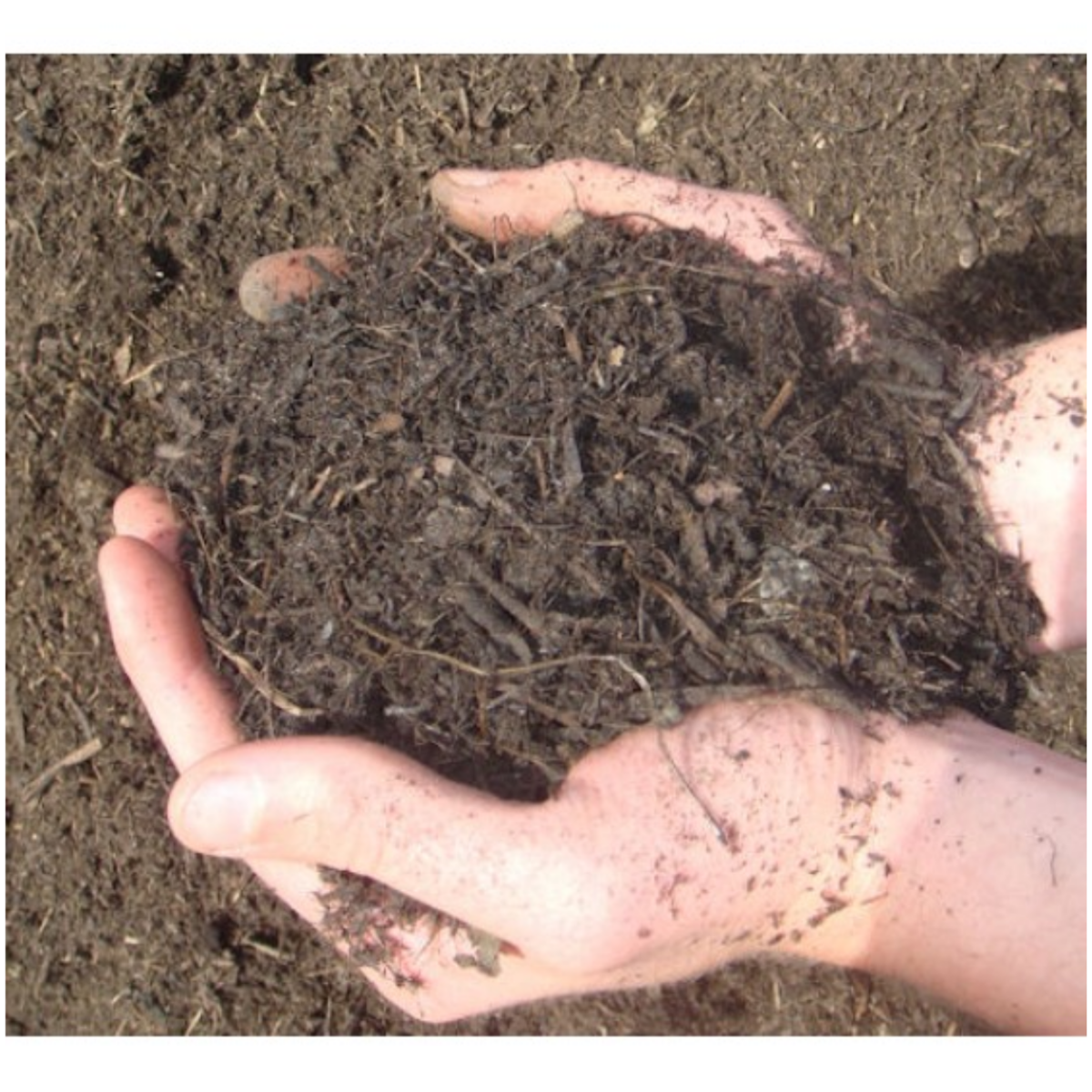 Tree & Shrub Compost - Bulk Bag - Image 4