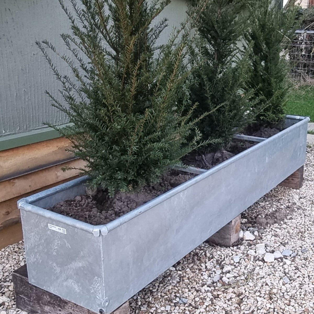 PLANTER
