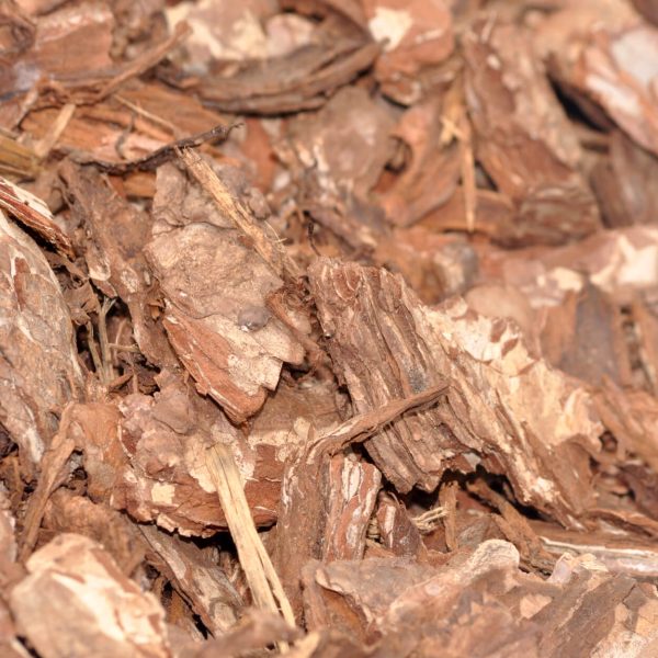 Pine Play Bark - Bulk Bag