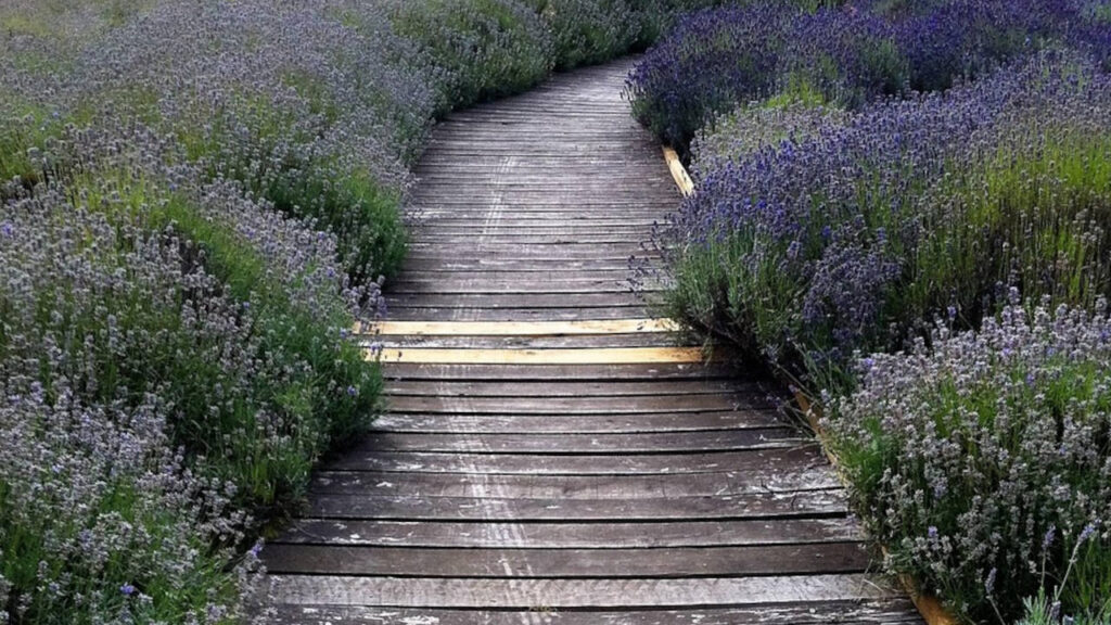 Railway Sleeper Garden Path