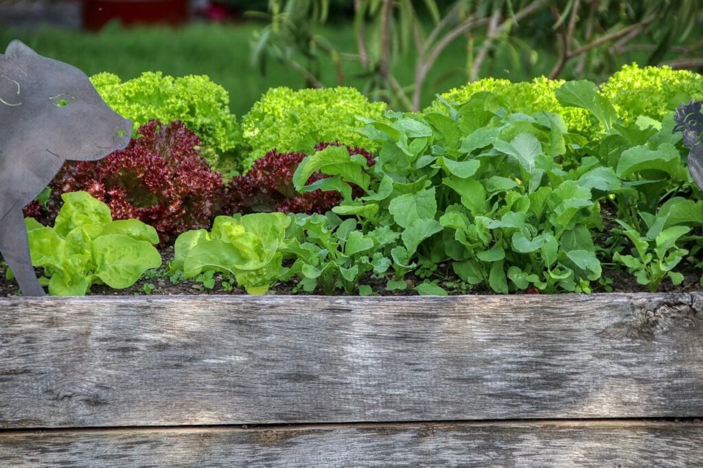 Railway Sleeper Raised Bed Construction