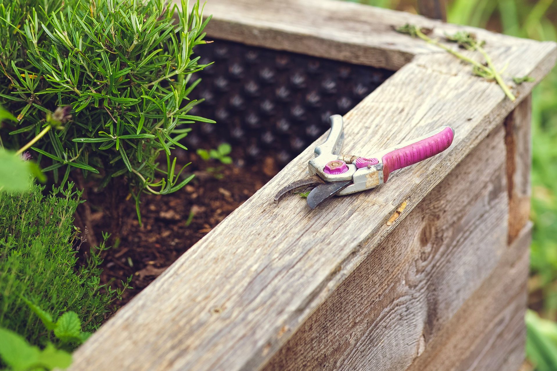 Railway Sleeper Raised Bed Construction
