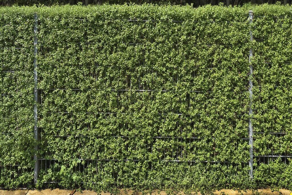 Modern vertical garden fence surrounded by greenery