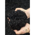 Horse Manure - Bulk Bag