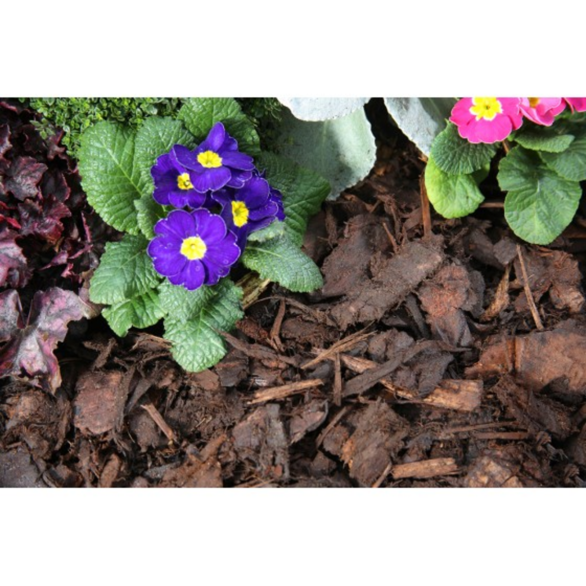 Ornamental Bark - Bulk Bag - Image 3