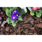 Ornamental Bark - Bulk Bag - Image 3