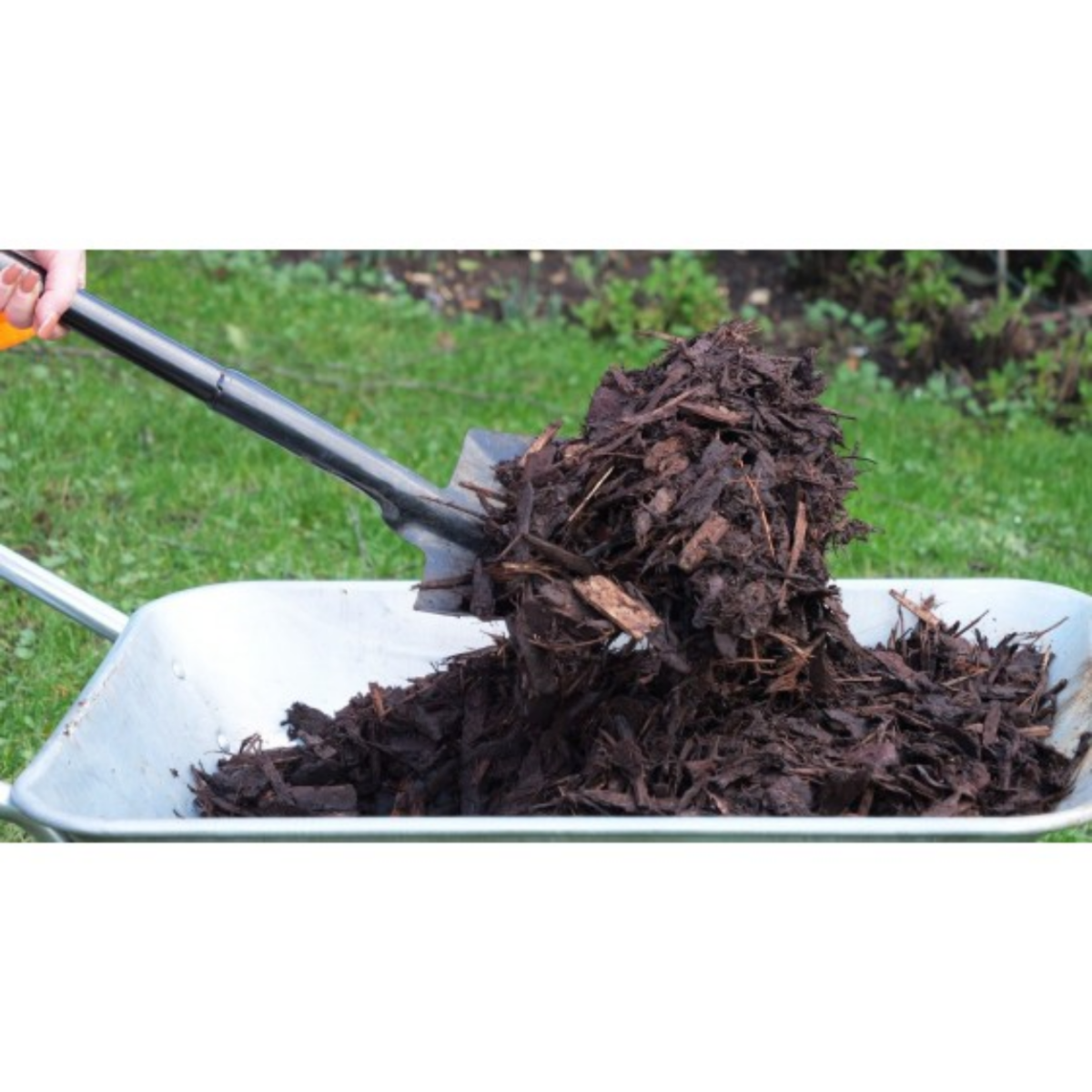 Ornamental Bark - Bulk Bag - Image 4