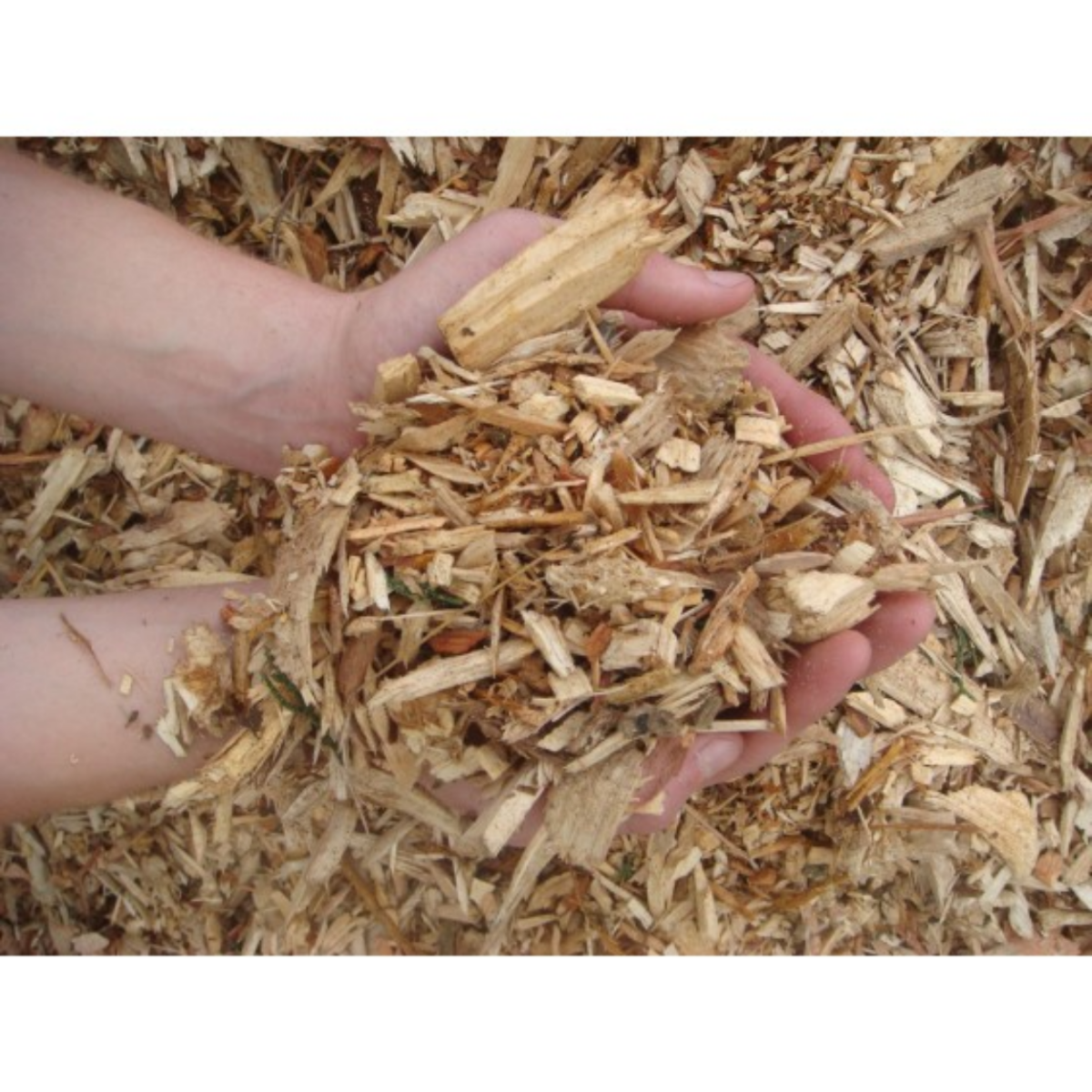 Woodland Bark - Bulk Bag - Image 5